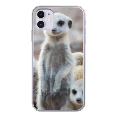 Produktbild von MuchoWow® Handyhülle Schutzhülle Hülle für iPhone 11 Neugierige Erdmännchen Silikon Softcase Handy Hülle - Handytasche