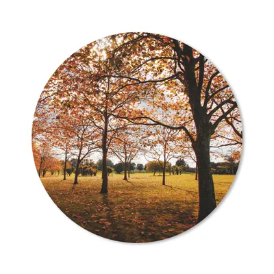 Produktbild von MuchoWow® Mauspad Mousepad Herbst - Herbstblätter - Natur 20x20 cm - Mousepads - Maus Mat - Pad - Mausunterlage - Schreibtischmatte