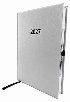 Produktbild von 2027 ADINA Buchkalender Chefplaner A5 silber-metallic 1 Tag 1 Seite