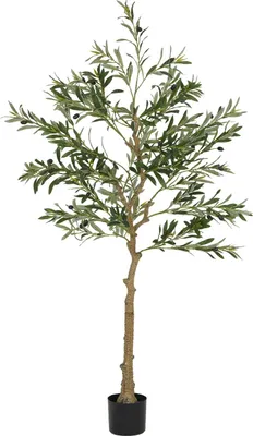 Immagine prodotto di Ulivo artificiale, 150 cm, 720 foglie, 40 olive