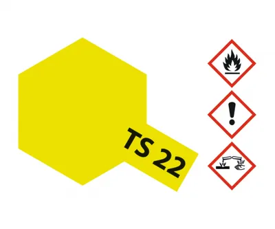 Image de TS-22 Vert clair brillant 100ml 300085022