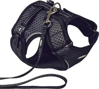 Image de Nobby Garniture pour chats "FLAP" noir