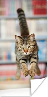 Produktbild von MuchoWow® Poster Katze - Frühling - Stuhl 20x40 cm - Plakat - Foto