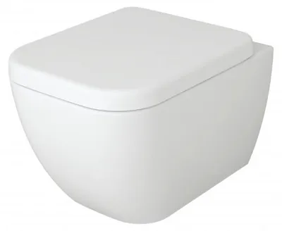 Produktbild von BERNSTEIN Spülrandloses Wand-Hänge-WC 101R – Elegante Sanitärtechnik mit Soft-Close-Deckel