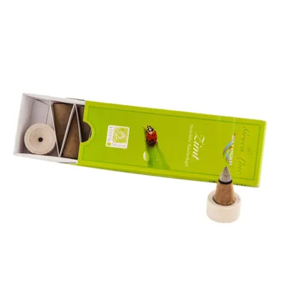 Immagine prodotto di Cono d'incenso Holy Smokes Green Line - Cannella 16g
