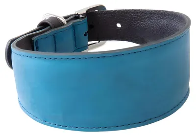 Produktbild von Das Lederband Windhundhalsband Vancouver Petrol/Black, Länge: 57 cm / Breite: 40 mm