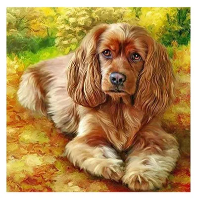 5D-Diamantgemälde Golden Retriever 40x40 cm DIY