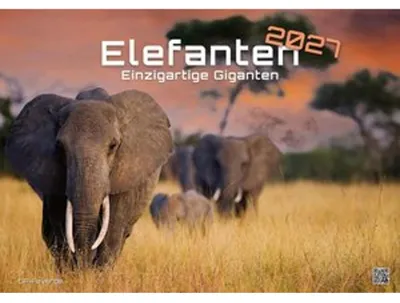 Image de Éléphants - des géants uniques - Calendrier pour 2027, format DIN A3