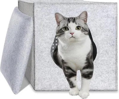 Produktbild von Famanu Katzenhaus Faltbar - Gemütliche Ruheoase für Katzen und kleine Hunde