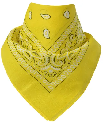 Produktbild von Bandana Paisley Gelb