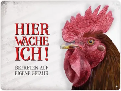 Produktbild von Betreten auf eigene Gefahr - Hier wache ich! Metallschild XXL mit Hahn Motiv