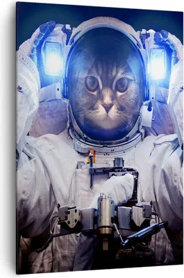 Produktbild von Bild auf Leinwand - Leinwandbild - Einteilig - Kosmonaut Katze - 70x100cm - Wand Bild - Wanddeko - Wandbilder - Leinwanddruck - Kunstdruck - Wanddekoration - Leinwand bilder - Wandbild - PA70x100-3734