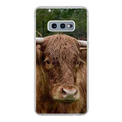Produktbild von MuchoWow® Handyhülle Schutzhülle Hülle für Samsung Galaxy S10e Schottische Highlander - Tiere - Gras Silikon Softcase Handy Hülle - Handy