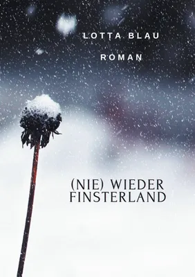 Produktbild von (Nie) Wieder Finsterland