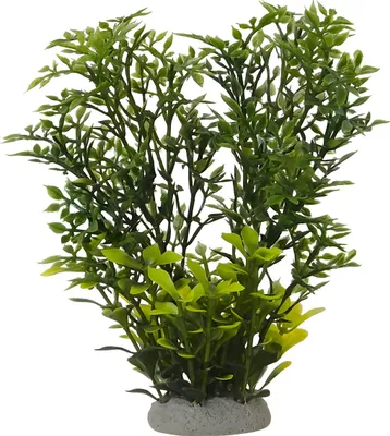 Produktbild von Nobby Aquariendekoration Aqua Ornaments Helzine I grün