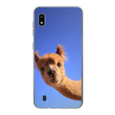 Produktbild von MuchoWow® Handyhülle Schutzhülle Hülle für Samsung Galaxy A10 Alpaka - Braun - Blau Silikon Softcase Handy Hülle - Schutzhülle