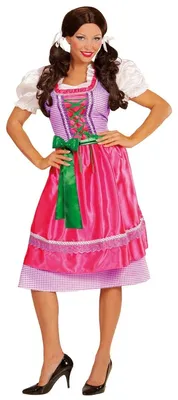 Imagen del producto de Traje tradicional alemán "Dirndl", talla S