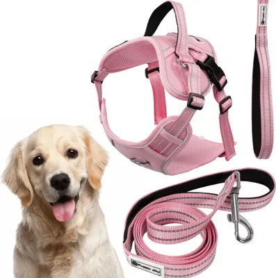 Obrázok produktu pre Vodítko a postroj pre psa XL PJ-064 Rose