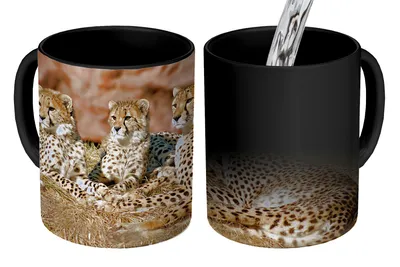 Obrázek produktu pro MuchoWow® Kouzelný pohár Gepardí matka a mláďata 350 ml Barva měnící se pohár Dárkový nápad - foto hrnek