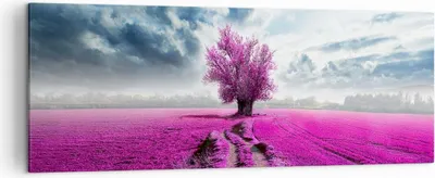 Produktbild von Bild auf Leinwand - Leinwandbild - Heidefeld Baum Wolken Landschaft - 140x50cm - Wand Bild - Wanddeko - Leinwanddruck - Bilder - Kunstdruck - Leinwand bilder - Wandkunst - AB140x50-2547