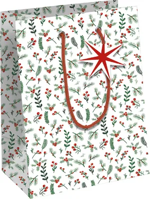 Immagine prodotto di Clairefontaine 211946C Carta da regalo Clairefontaine "Stripes", rotolo Secare