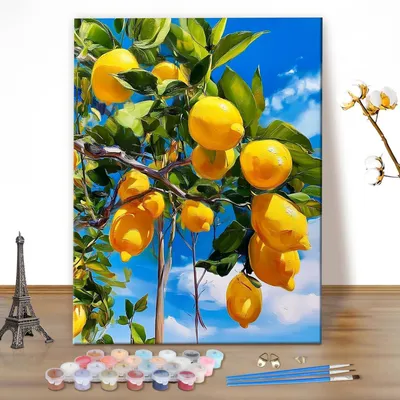 Produktbild von Malen nach Zahlen Set Erwachsene Landschaft Zitrone DIY Ölgemälde 40x50cm