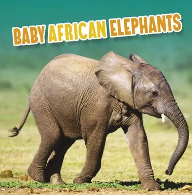 Produktbild von Afrikanische Elefantenbabys