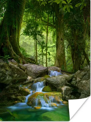 Produktbild von MuchoWow® Poster Dschungel - Steine - Wasser - Natur - Pflanzen 120x160 cm - Wandbilder