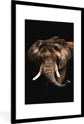 Produktbild von MuchoWow® MuchoWow® Gerahmtes Poster Elefant - Schwarz - Tiere 60x90 cm - Poster mit zchwarzem Bilderrahmen - Dekoration - Wandposter Wohnzimmer - Hochwertig
