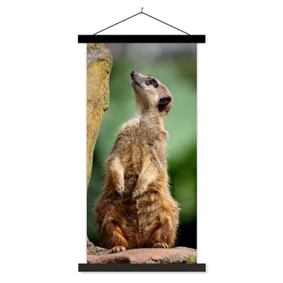 Produktbild von MuchoWow® Textilposter Erdmännchen - Tier - Rock 60x120 cm mit schwarzem Rahmen - Magnete