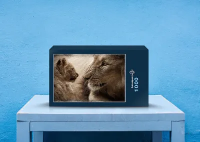 Produktbild von hansepuzzle 16872 - Löwe mit Baby Puzzle, 1000 Teile, Tierwelt, 60,0 x 46,0cm mit hochwertiger Aufbewahrung, Kartonbox & Beutel