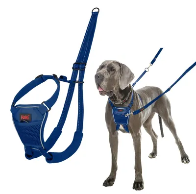 Produktbild von Halti Erziehungsgeschirr No Pull Harness Cobalt Blue, Größe: L
