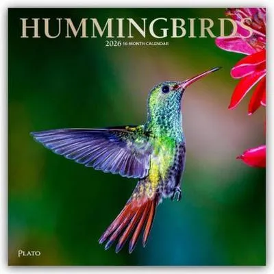 Immagine prodotto di Hummingbirds 2026 Square Plato Foil – Lingua: Inglese