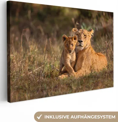 Produktbild von OneMillionCanvasses® - Leinwandbilder - 150x100 cm, Wildtiere - Licht - Porträt, Wandbilder Kunstdruck Wanddekoration