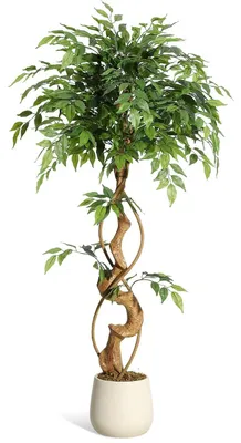 Image de Ficus artificiel - Plante d'intérieur en pot - 120 cm, plante artificielle réaliste - Tige courbée - Pot blanc - Décoration pour salon et bureau