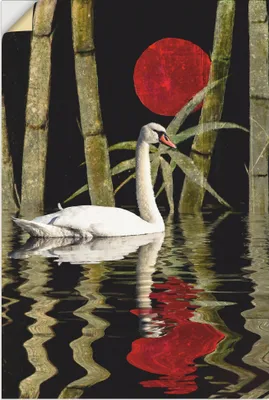 Produktbild von ARTland Wandbild, selbstklebend Blutmond über dem Schwanensee Größe: 60x90 cm