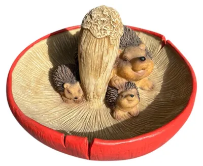Produktbild von Dekofigur Igel mit Tränke 18,5 x 19 cm bunt