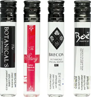 Image de Pack Gin In Tube 4x50ml Genève Walisisch 20,00 cl 42,0 %