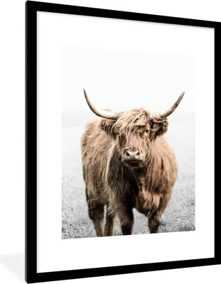 Produktbild von MuchoWow® Gerahmtes Poster Schottischer Highlander - Tiere - Hörner 60x80 cm - Poster mit Schwarzem Bilderrahmen Wandposter Rahmen Foto Bilder - Wohnzimmer - Dekorationen - Prämie