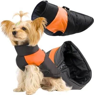 Image de Vêtements pour chiens et chats, gilet, veste, imperméable, avec fermeture éclair, isolé, taille L