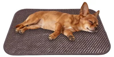 Produktbild von Kühlmatten für Hunde und Katzen für den Außenbereich