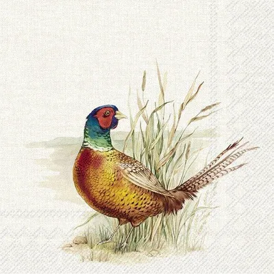 Produktbild von Servietten 25x25 cm - HUNTED PHEASANT cream