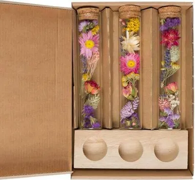 Produktbild von Getrocknete Blumen – Message in a Box Groß – Multi – 8 Stück – Höhe ca. 15cm – Geschenkbox mit Trockenblumen – Dekoration & Geschenkidee