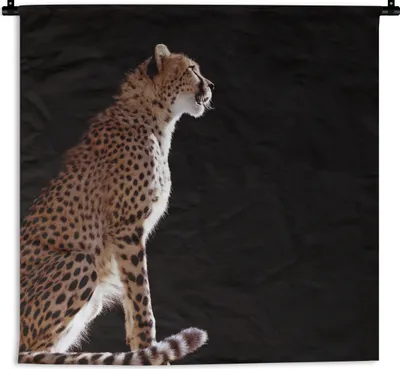 Produktbild von MuchoWow® Wandteppich Wandbehang Gepard - Tiere - Licht 150x150 cm Tapisserie Dekoration Wandtuch - Wohnaccessoires - Modernes