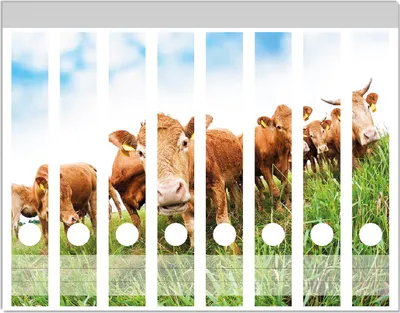 Produktbild von Wallario Ordnerrücken Sticker, selbstklebend für schmale Ordner, 8 Stück, Motiv Kühe im Sommer auf der Weide