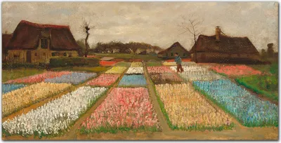 Produktbild von Coloray - Bild aus Glas - Glasbilder - 100 x 50 cm - Wohnzimmer Glasblock mit Bild Wanddekoration Gehärtetes Glas Dekoration Küche - Van Gogh Birnenfelder