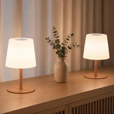 Obrázok produktu pre Bezdrôtová LED stolná lampa a dotykové nočné svetlo – USB-C, nabíjacie
