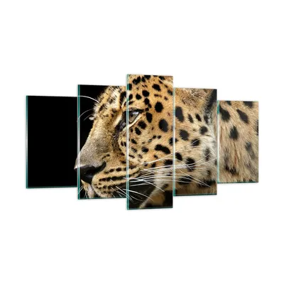 Produktbild von Bilder auf glas - Tiere Leopard wilde Katze wilde Tiere - 160x85cm - Glasbilder - Wandbilder - Kunstdruck - Wanddekoration aus Glas - Glas Bilder - Wandbild auf Glas - GEA160x85-0433