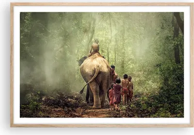 Produktbild von Gerahmtes Poster - Rahmen in heller Eiche - Elefant Dschungel Nebel - 91,5x61 cm - Wand Bild - Wanddeko - Wandbilder - Wandposter - Bilderrahmen - Bilder - Kunstdruck - Wandbild - P2NAA91x61-3438