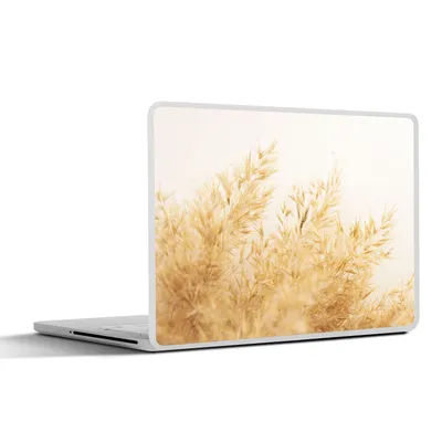 Produktbild von MuchoWow® Laptop Aufkleber Sticker Cover Pampasgras - Sonne - Gras 40x30 cm - Laptop Dekoration - Selbstklebend